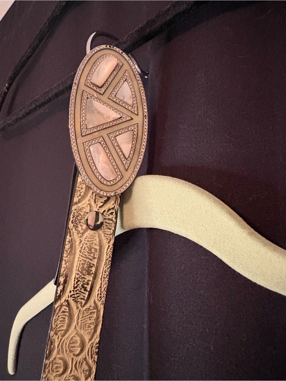CAbi belt